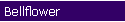 Bellflower