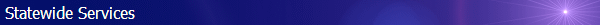 Statewide Services